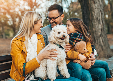 Find more resources for Medicare and Medi-Cal